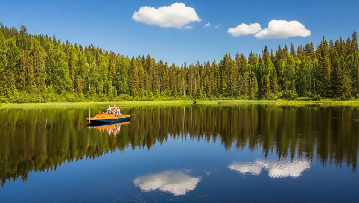 Итоги инвестирования за август 2025: покупки, состав активов, дальнейшие планы