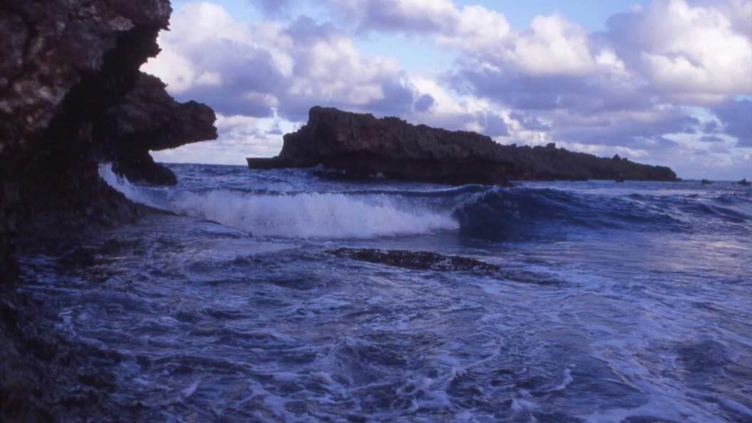    Andrei Kamenev/Russian Look/Globallookpress