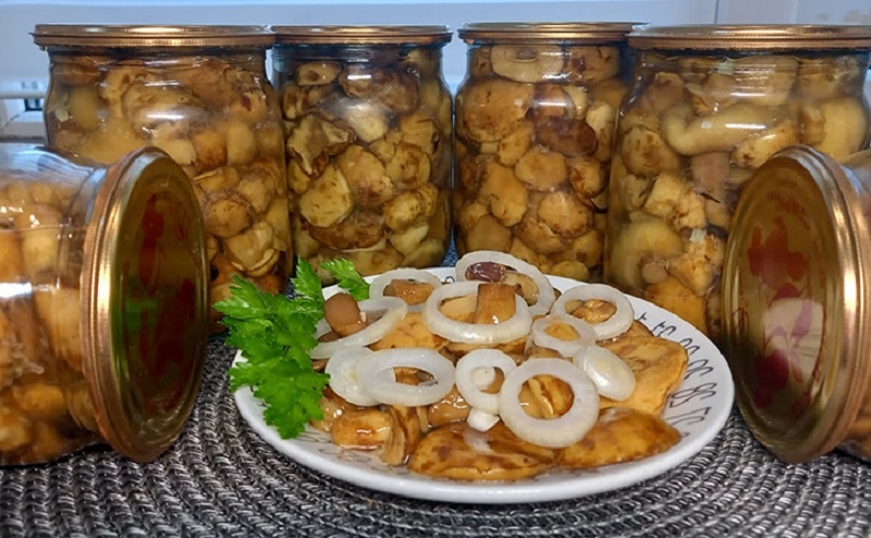 Маринованные грибы методом ферментации: хрустящие, ароматные и необычные