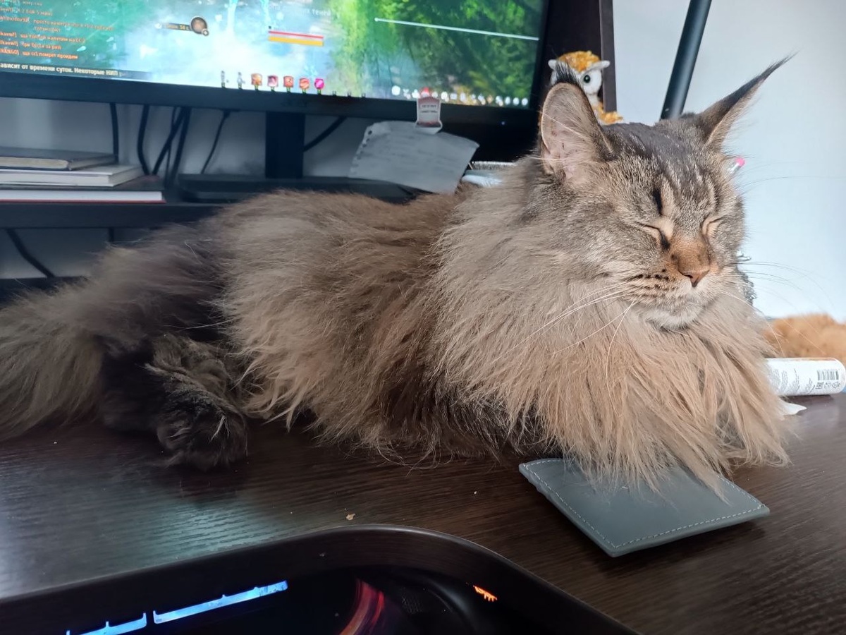 А у меня за спиной кусочек того зеленого, где она бегает