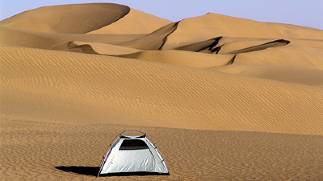    Vladimir Snatenkov/Globallookpress