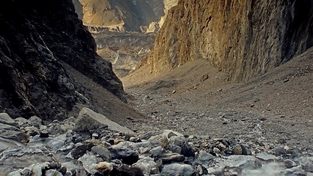    Фото: Nikolay Kuznetsov/Globallookpress