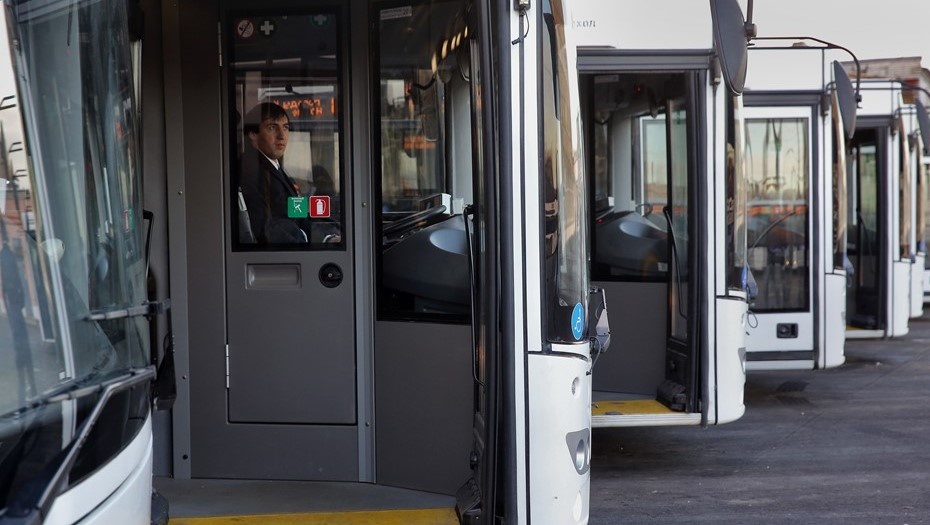    Автор фото: Ковалёв Пётр/ДП