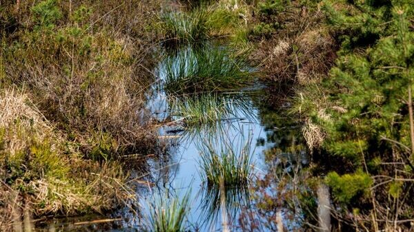    © Photo : Lietuvos Respublikos aplinkos ministerija
