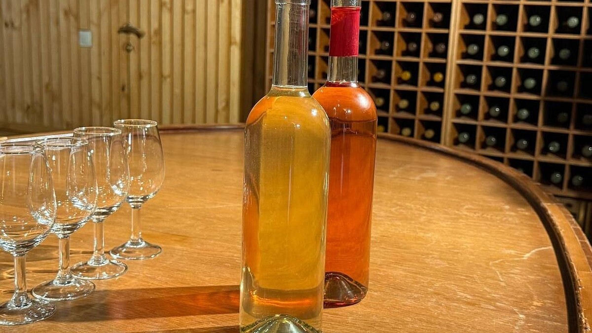    Фото: телеканал «Краснодар»