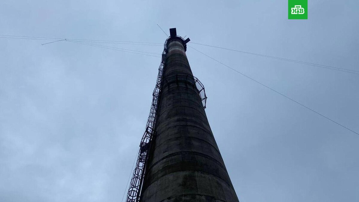    Фото: procspb / t.me