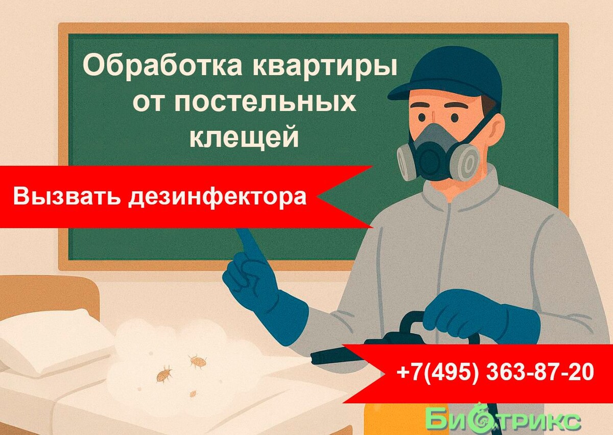 Служба в Коломне от клопов Биотрикс 