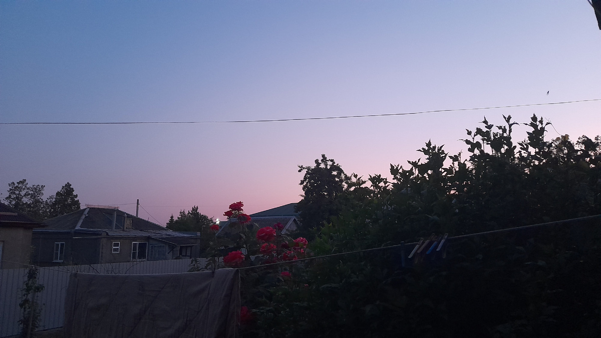 Летний вечер 