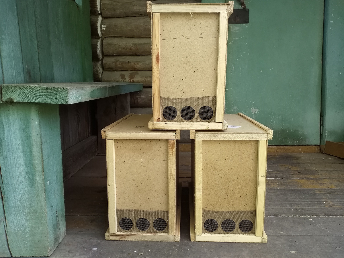 Пчелопакеты для заселения в колоды