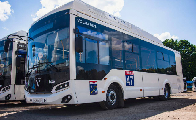    © t.me/lenobladminka