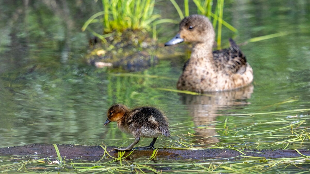    Фото: Федор Воронов / «Ямал-Медиа»