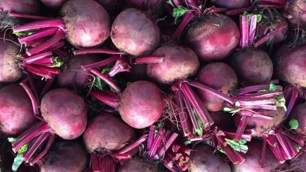 обрезка свеклы