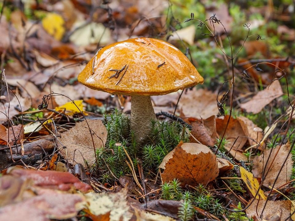    Фото: istockphoto.com