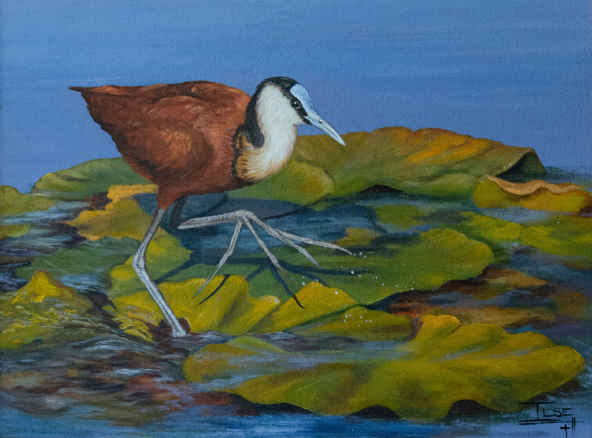 Африканская якана