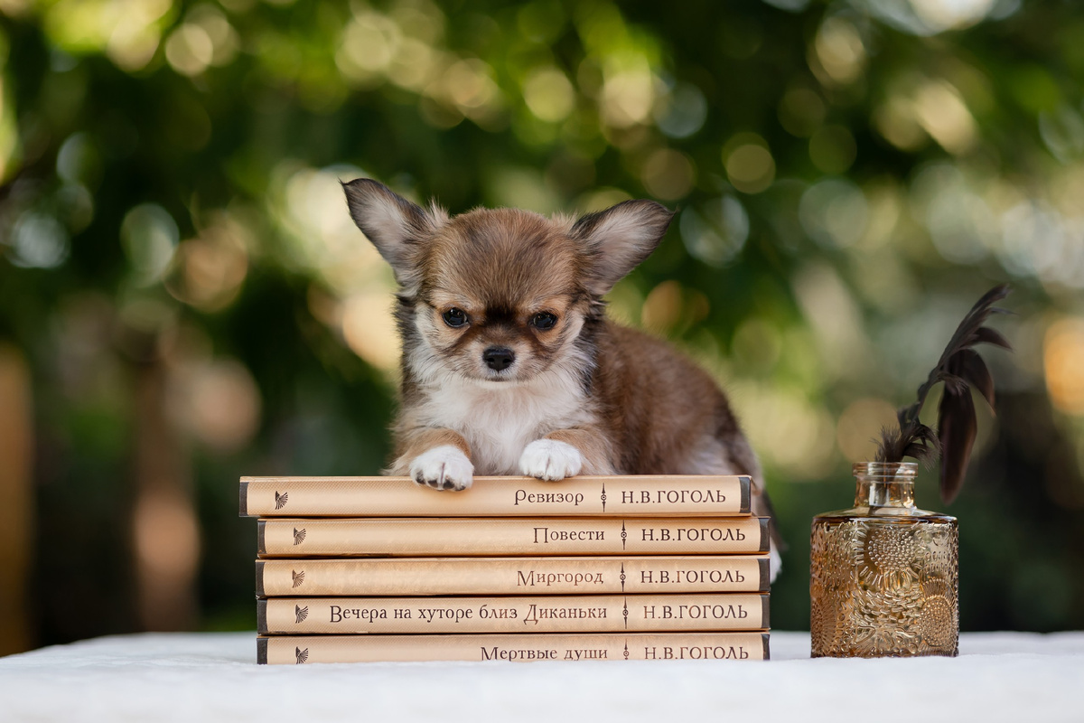 Листайте карусель