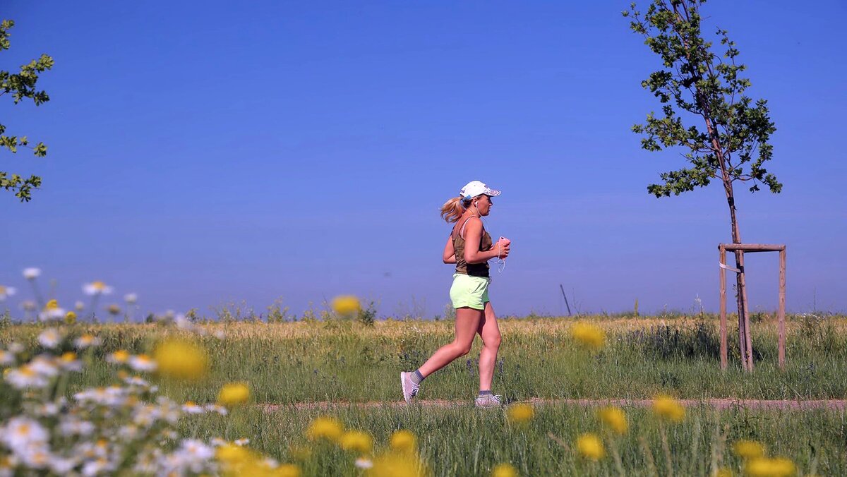   Фото: Антон Вергун