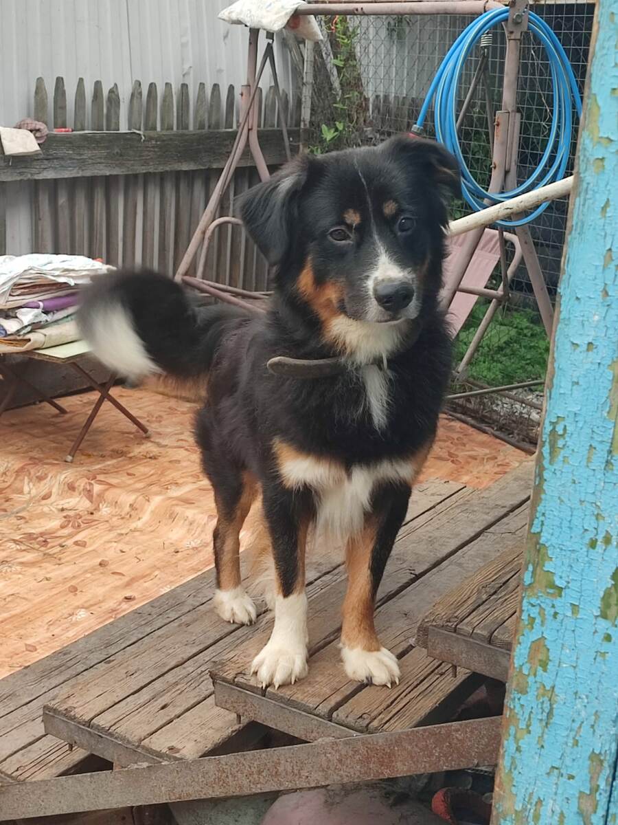 Здравствуйте! Это я Зевс большой.