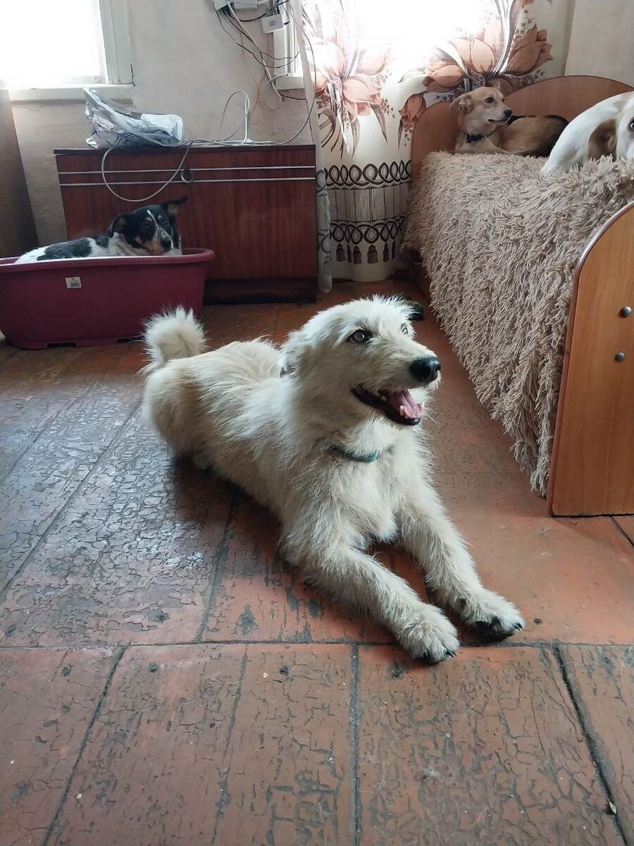 Зевс маленький - это я.