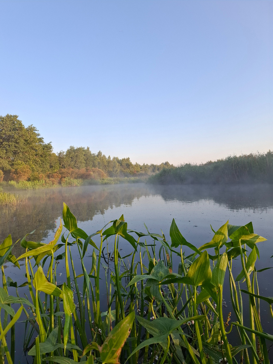 Раннее утро на реке!