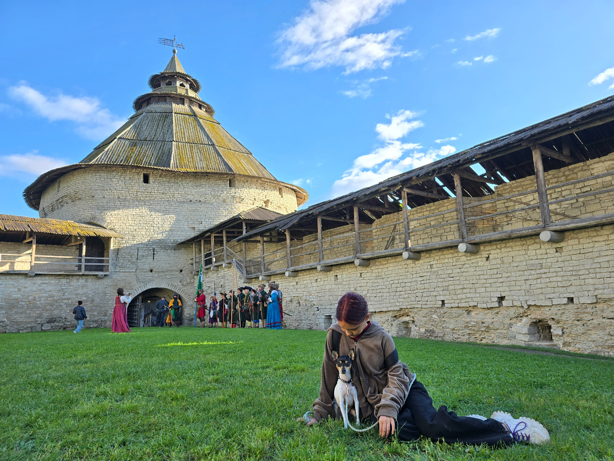 Наш той-фокстерьер у стен древнего Псковского Крома
