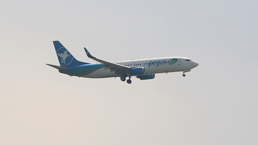    Фото: Maksim Konstantinov/Globallookpress