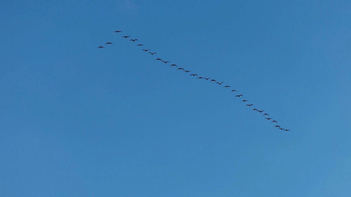    Фото: Сергей Зубков / «Ямал-Медиа»
