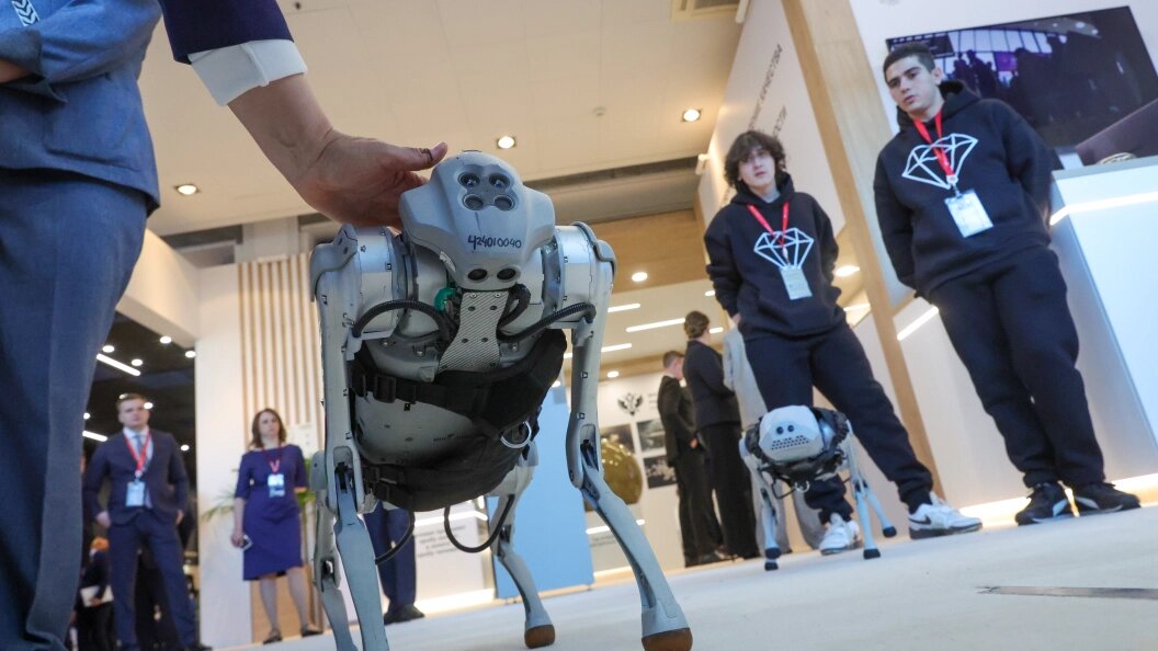    Фото: Shatokhina Natalia/Globallookpress