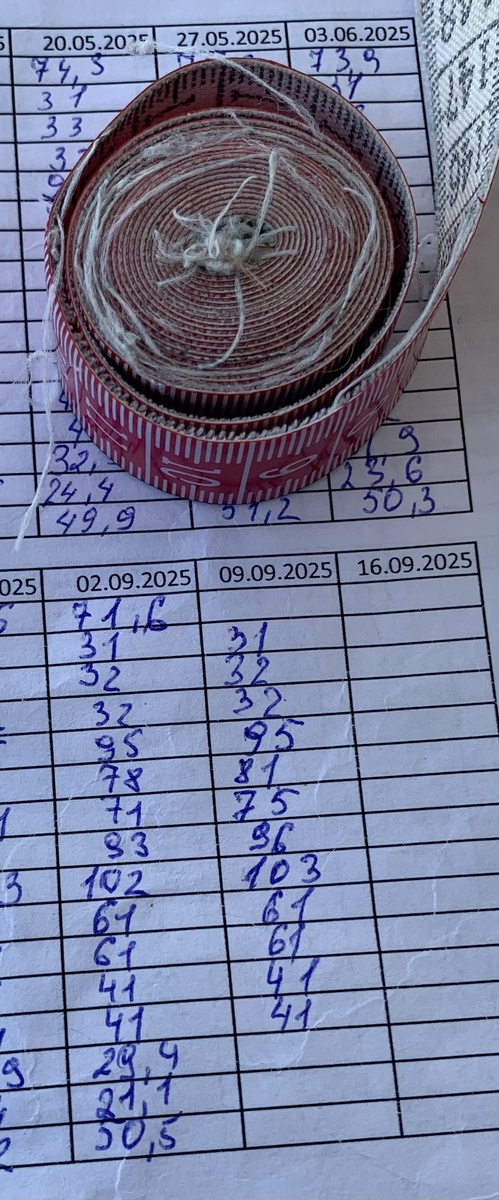 Мои корявые циферки