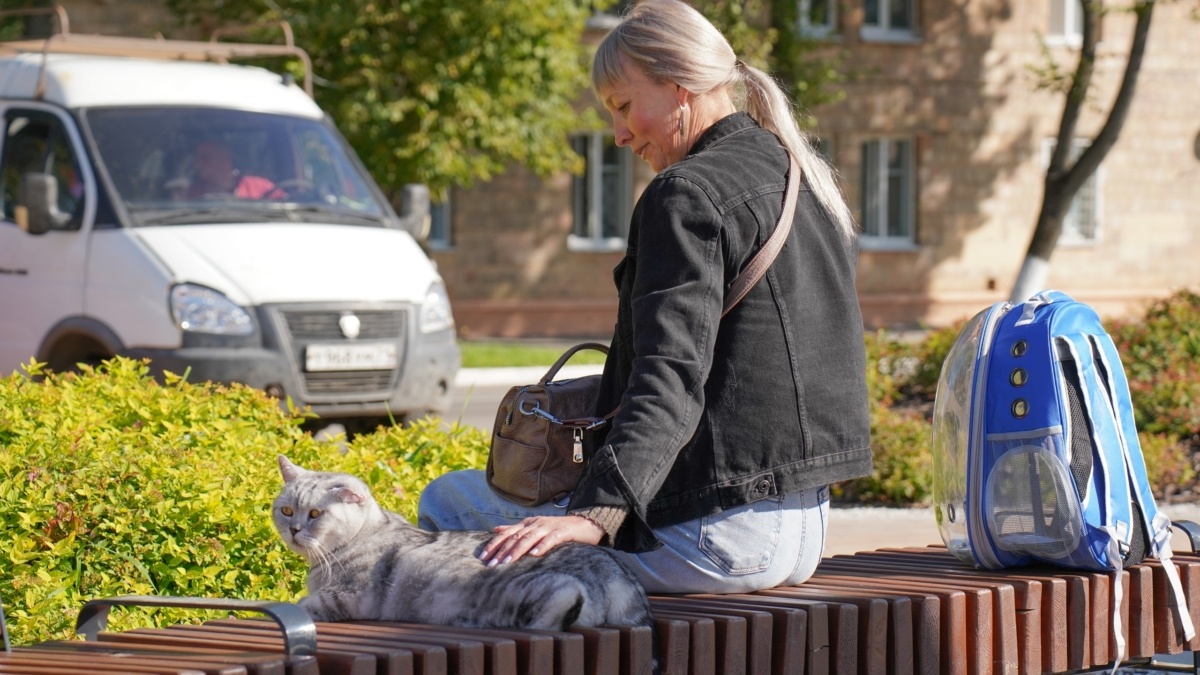 Светлана Мулыкина📷
