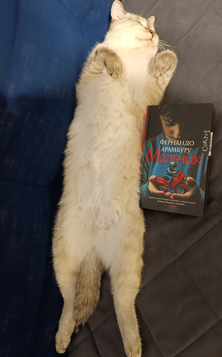 Сегодня книгу рекомендует Дженя в своей любимой позе "сосиска".