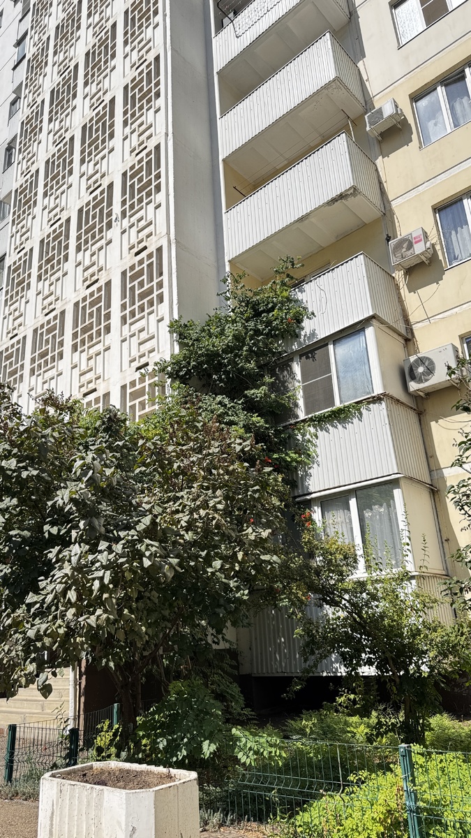 Фото: Мария Гридина 