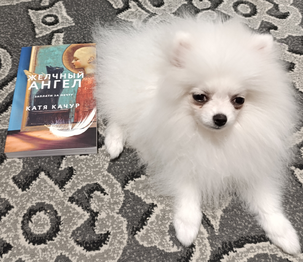 Сегодня очередную книгу Кати Качур рекомендует Бэлла