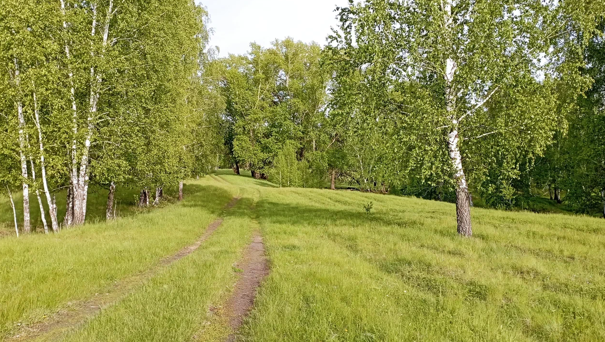 наверняка где-то здесь лежит золотая монета. И пусть себе лежит