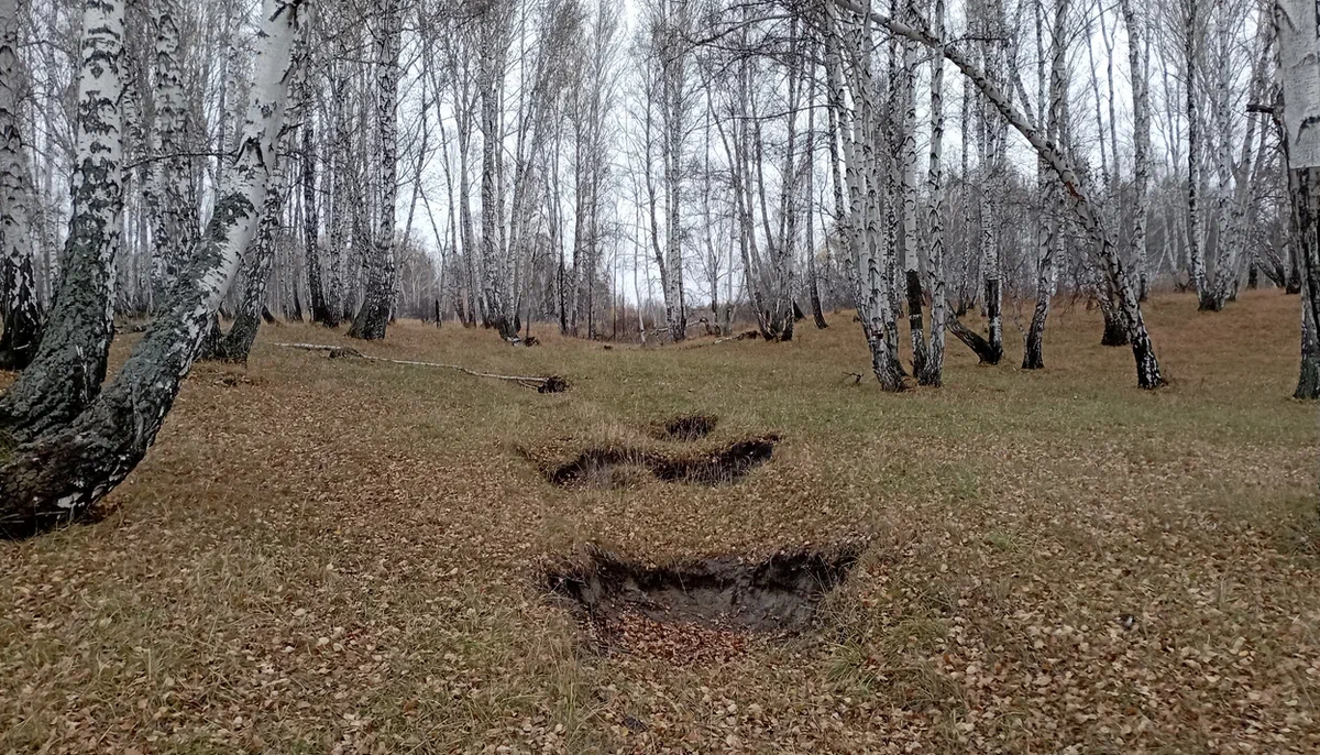 А может быть золотая монета есть здесь - на старой размытой дороге?
