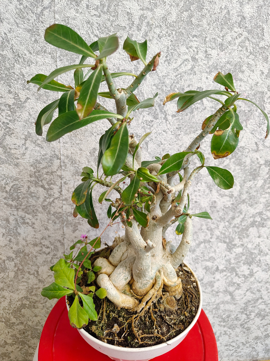 Ужас, ужас... 