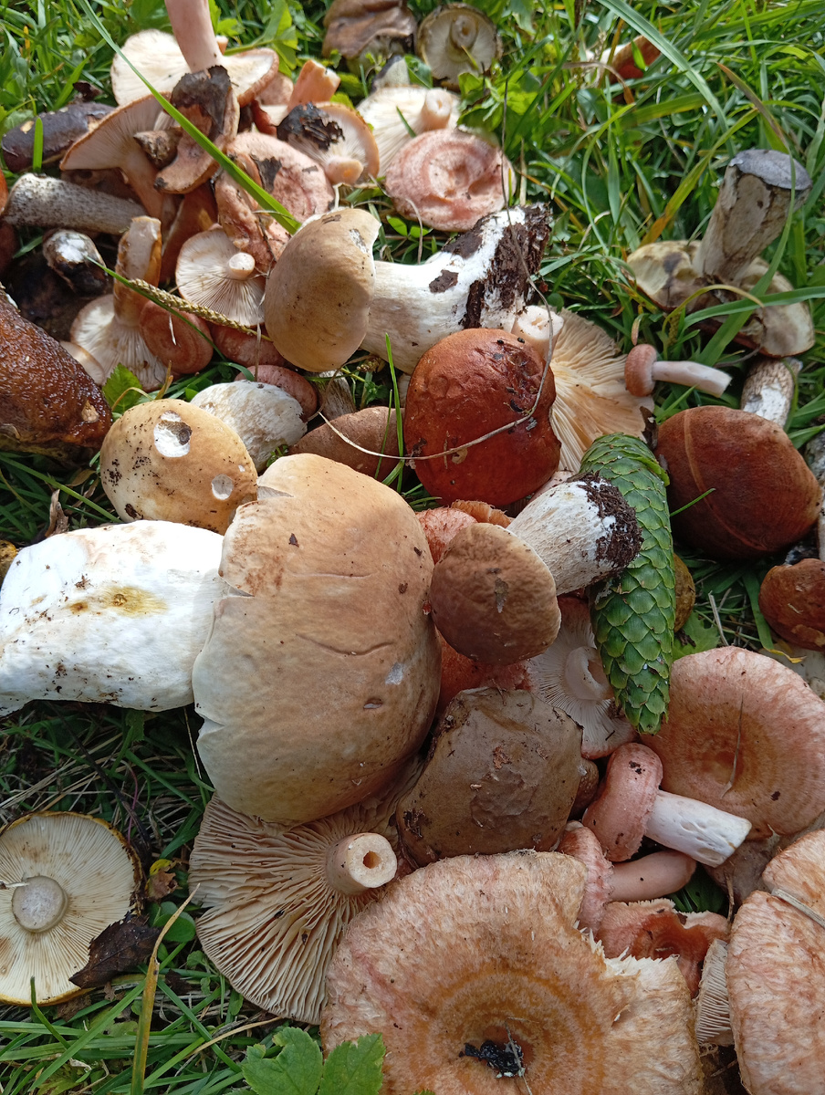 Вот такая кучка. 