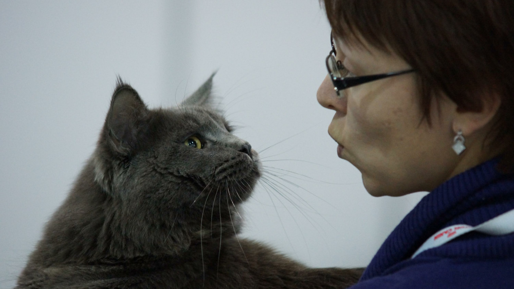    Фото: Olga Sokolova/Globallookpress