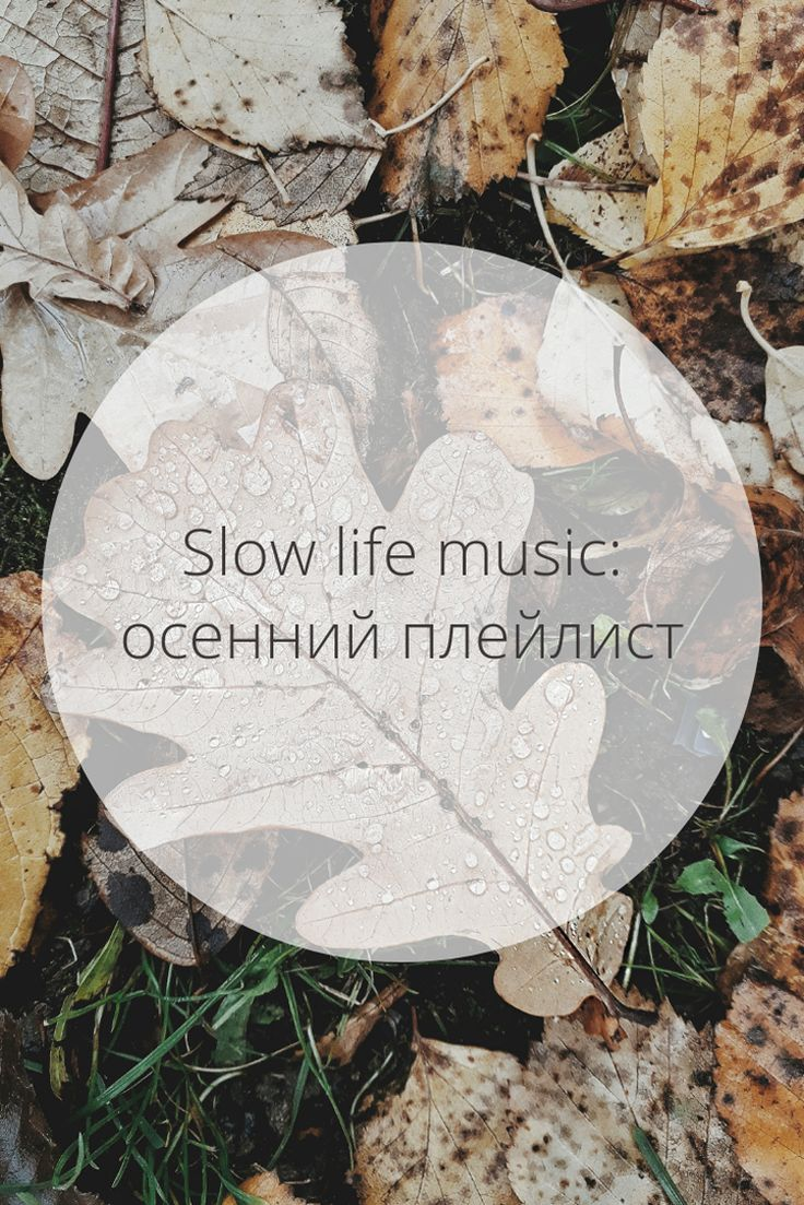 Фото взято из открытого источника