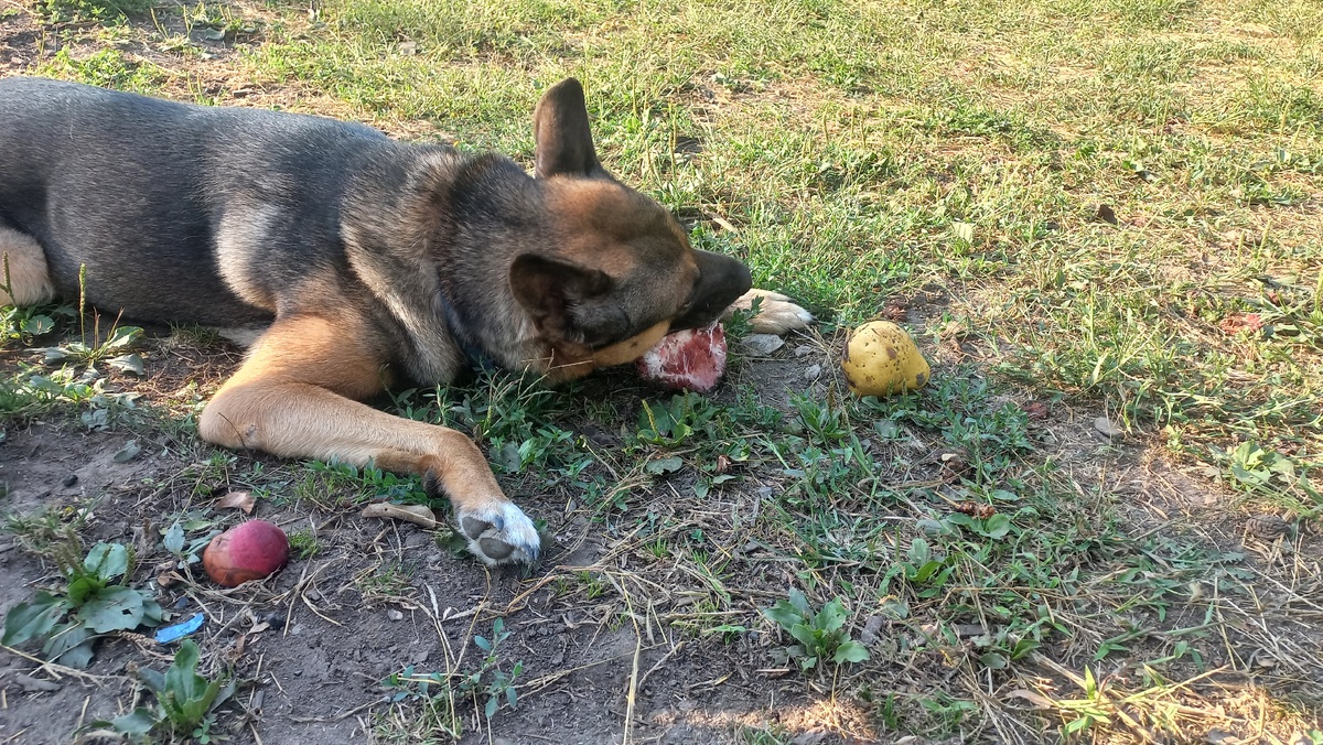 Товарищ Диего наедине со своей прелестью 