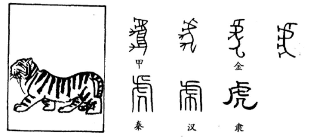 Наглядный пример происхождения иероглифа тигр 虎 hǔ