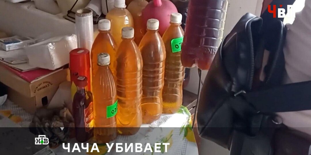 Смертельный рецепт: из чего была сделана адлерская чача-убийца