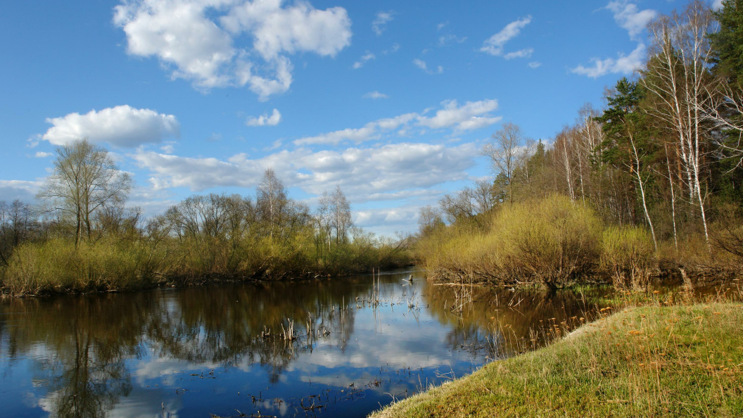    Река Миасс. Фото: Сергей Малков/Globallookpress.