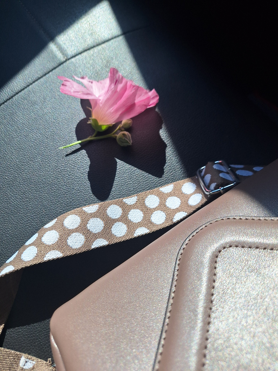 Фото - собственность автора канала "ТАК НАДО".