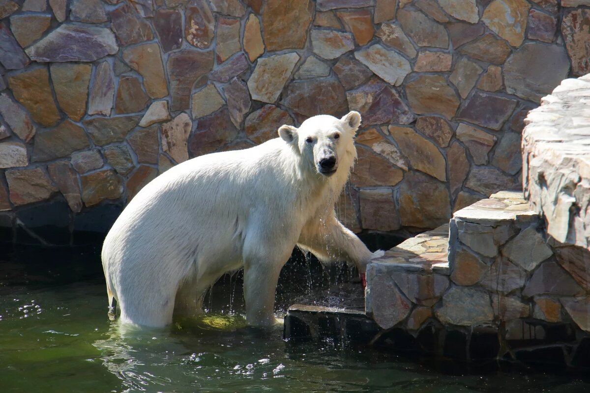 Александровский парк, 1А, Санкт-Петербург

