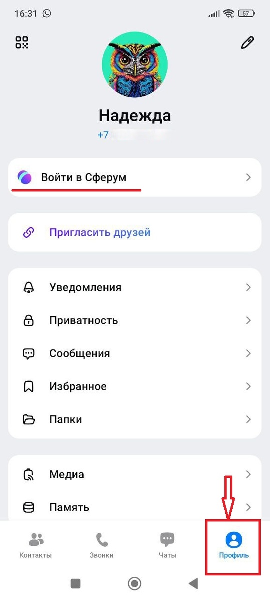 Открываем Профиль в Max и видим приглашение "Войти в Сферум".