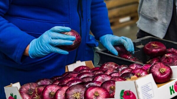    © РИА Новости Крым . Дмитрий Макеев