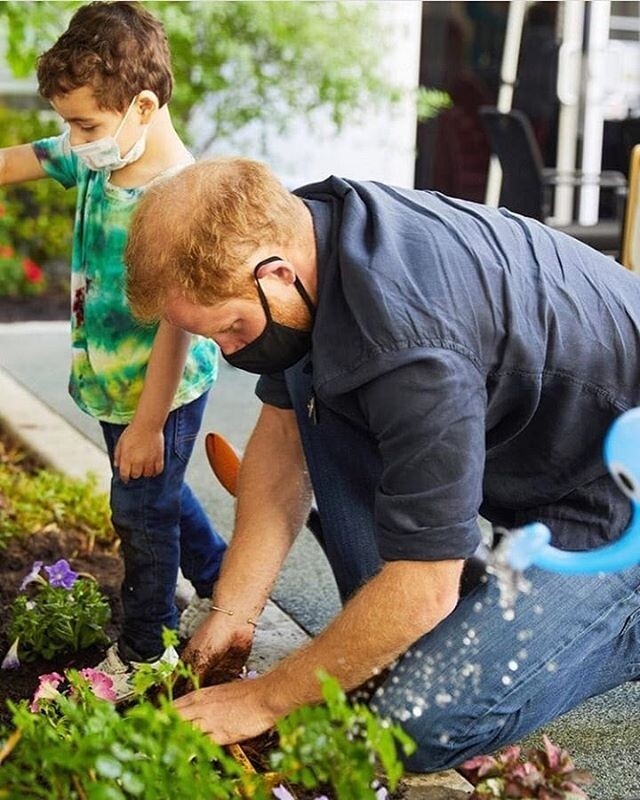 фото из яндекса