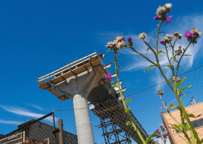 Источник: Евгений Павленко / «Коммерсантъ»