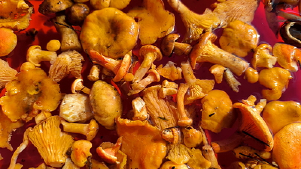    Maksim Konstantinov/Globallookpress