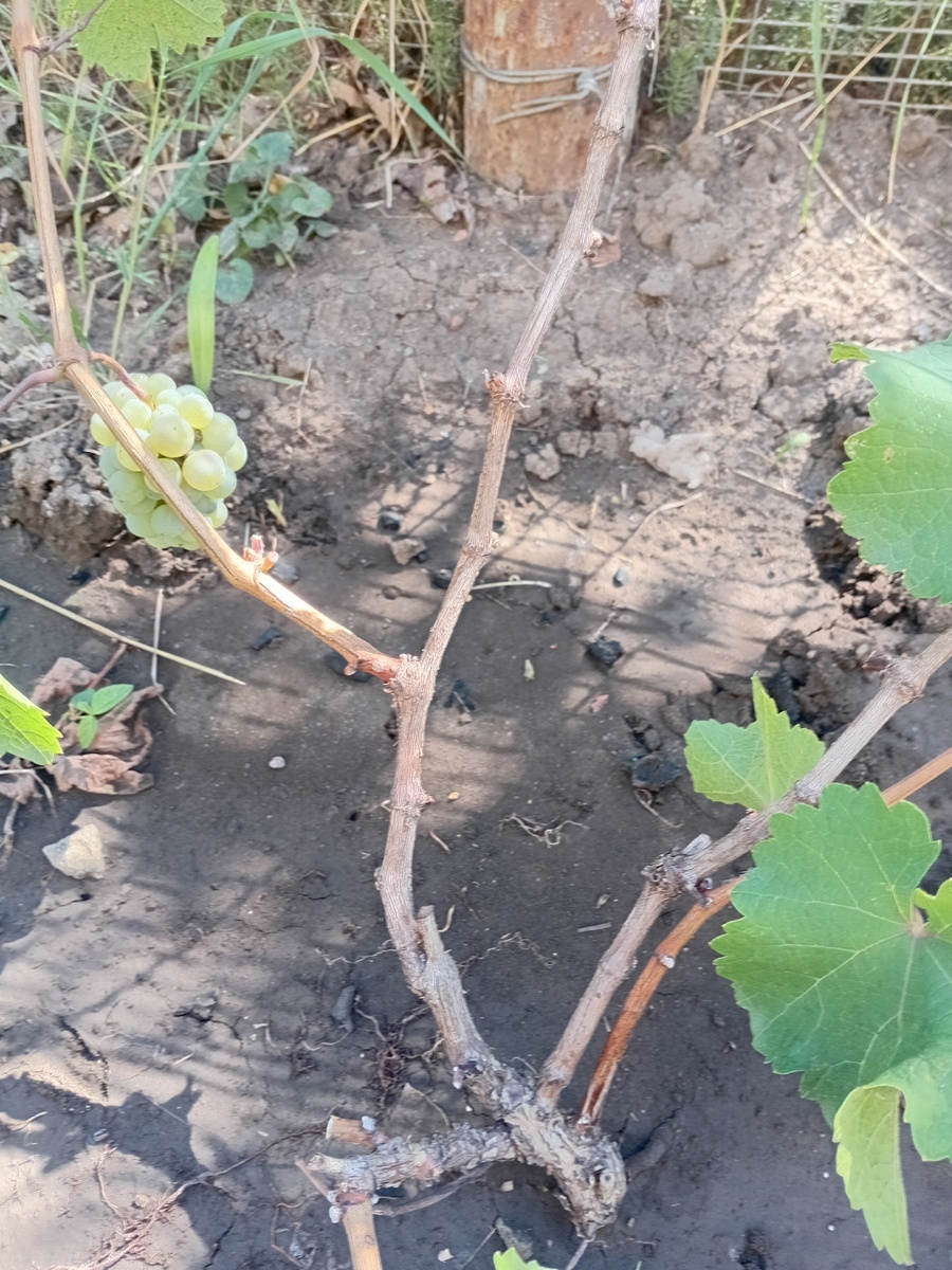 Фото подписчика 